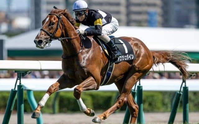【コスモス賞結果】アスクシュタインが7馬身差Vでデビュー2連勝
