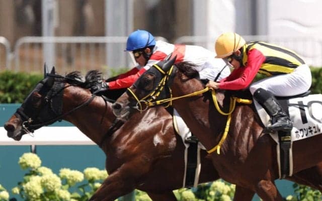 【札幌6R】武豊ダノンスウィッチが人気に応える