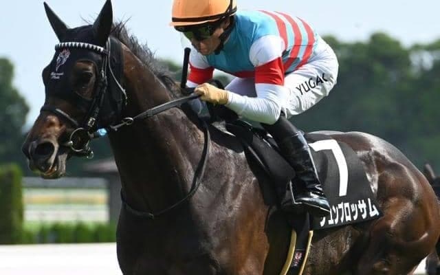 【関屋記念・馬体重】ジュンブロッサムは468kg(-8)、プレサージュリフトは482kg(-4)