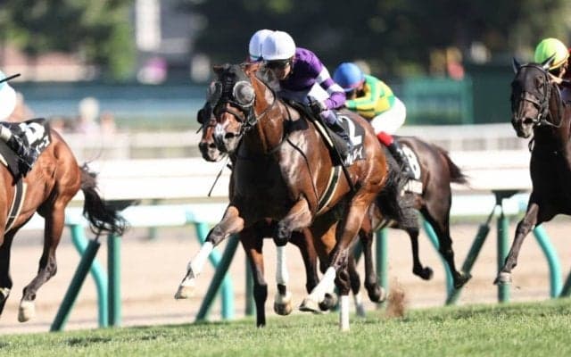 【UHB賞】武豊本日4勝の固め打ち！プルパレイで鮮やかに抜け出す