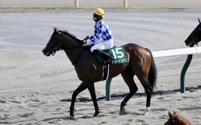 【関屋記念】松山「待つ余裕もあるくらい強かった」トゥードジボンが鮮やかに逃げ切る