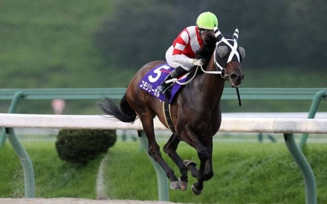 【盛岡・ひまわり賞】コモリリーガルが5馬身差完勝…村上忍「今後も楽しみ」