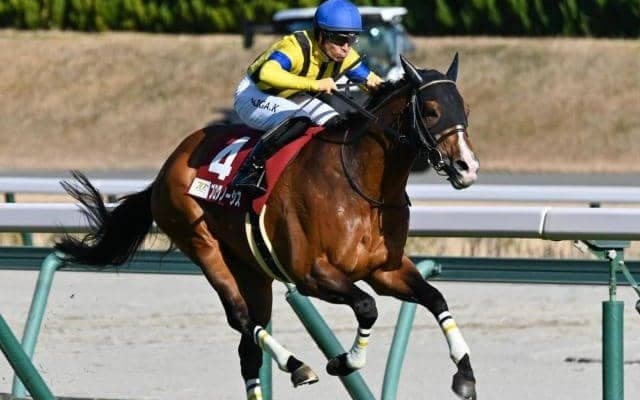 札幌で札幌記念と中京でCBC賞/今週の競馬界の見どころ