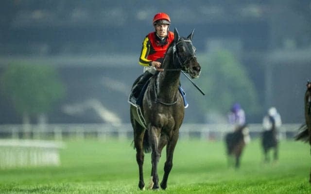 【札幌記念登録馬】シャフリヤールなど12頭