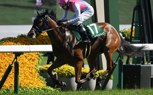 【CBC賞見どころ】ピューロマジックの3連勝に期待