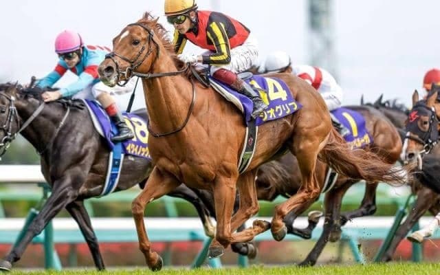 【札幌記念見どころ】皐月賞馬ジオグリフの復活なるか