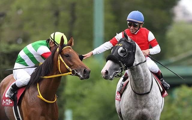 札幌で行われた「凱旋門賞前哨戦」 ハープスターVSゴールドシップの2強対決から10年