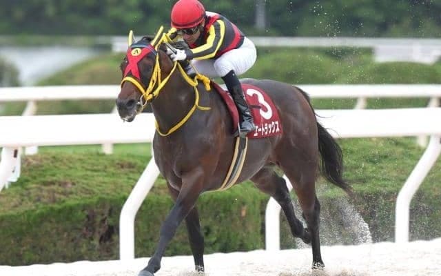 【門別・北海道SC枠順】兵庫CSまで3連勝中のエートラックスは5枠6番