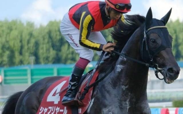 札幌記念史上初の日本ダービー馬による勝利なるか 武豊騎手と初コンビで参戦