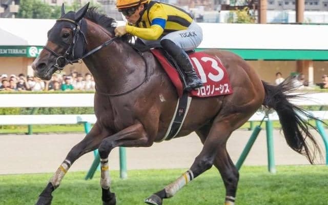 エアグルーヴ以来史上4頭目の偉業達成へ 4馬身差Vの昨年覇者が札幌記念連覇を狙う