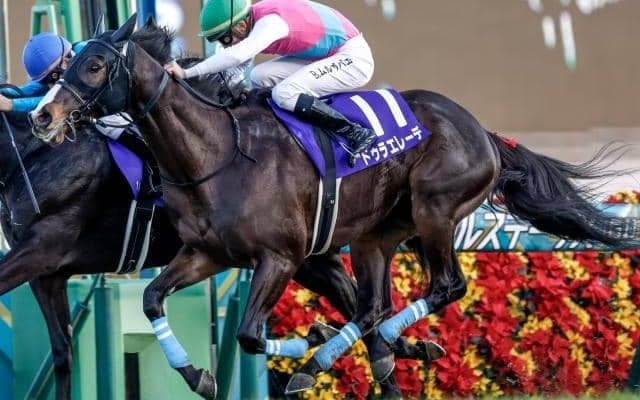 【AI予想・札幌記念】スーパーGIIは前走の距離や着順に注意 人工知能はGI勝ち馬に高評価
