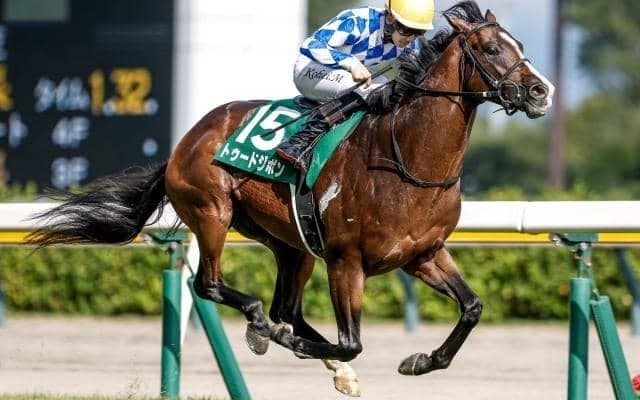 “京都の鬼”トゥードジボンが新潟重賞を制した理由とは？ 好調イスラボニータ産駒の適性を分析