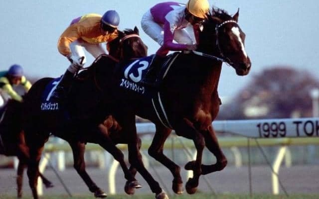 4つのGIを制し活躍した名馬“スペシャルウィーク” 産駒の特徴は「馬格あり」で「万能型」