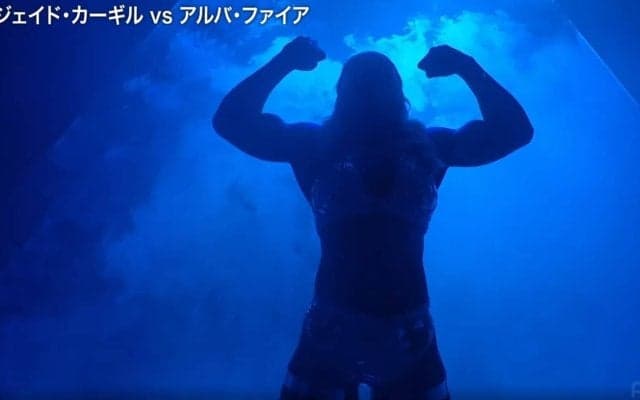 「ヒロアカのミルコみたい」「ガタイすごすぎ」筋肉女子レスラーの肉体美に反響続々