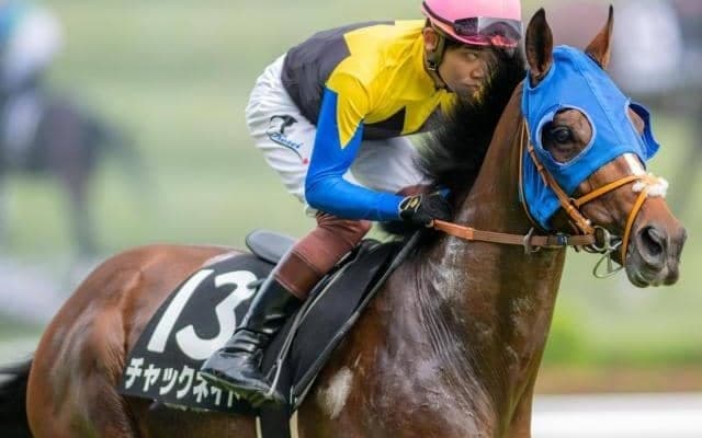 過去10頭全てが馬券圏外!? 遅咲きの期待馬がハーツクライ産駒の鬼門・札幌記念に挑む