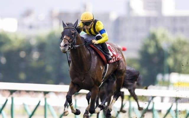 【札幌記念予想オッズ】プログノーシスが予想1番人気