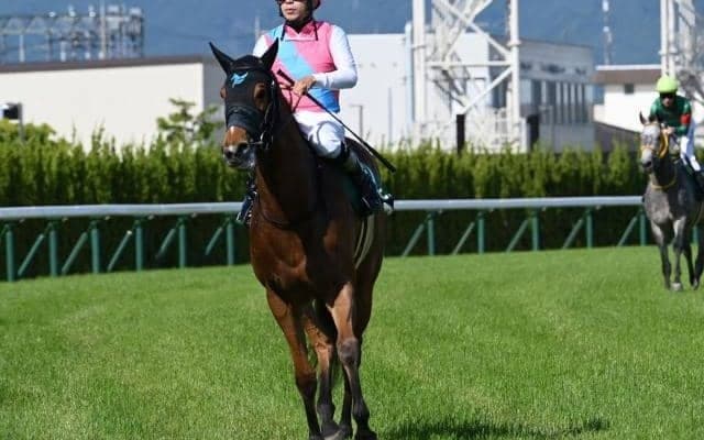 【CBC賞予想オッズ】ピューロマジックが予想1番人気