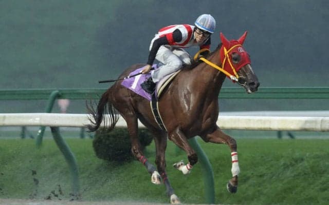 【盛岡・はまなす賞】マルーントリックが逃げ切る…佐々木志音「思い切っていきました」