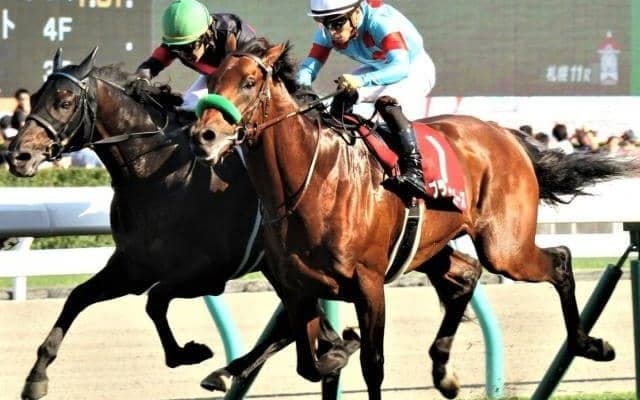 GI馬4頭が集結した5年前の札幌記念 出走馬のその後をみてみると…