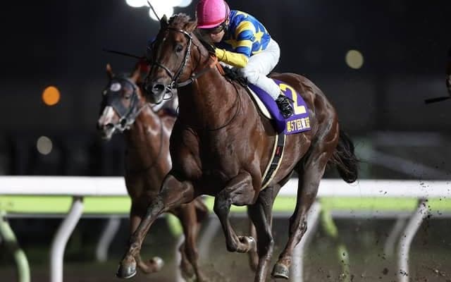 【盛岡・クラスターC注目馬】秋の大一番に向けて短距離王候補が始動