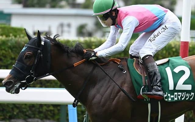 史上4頭目のJRAスプリント重賞3連勝なるか 3歳“快足娘”がCBC賞でも逃げ切る！