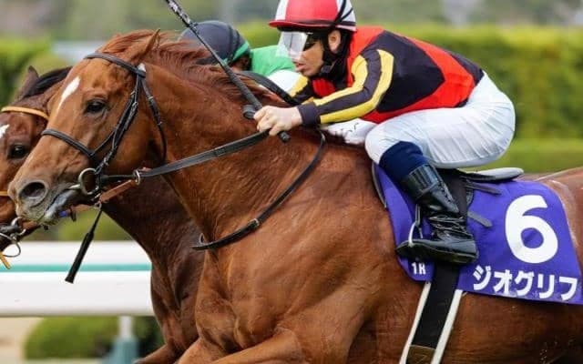 3年ぶり札幌の地で復活Vなるか 皐月賞馬ジオグリフが札幌記念に参戦