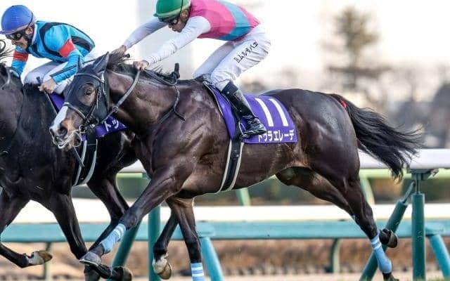 【札幌記念予想】AIの推奨は実績上位のGI馬 取捨を悩ます“臨戦過程”が妙味生む？