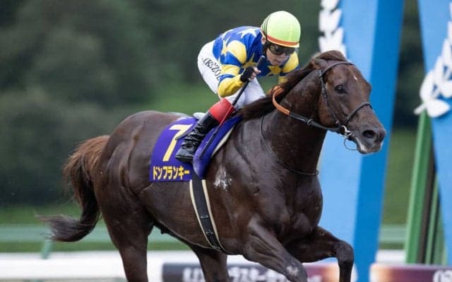 【クラスターC】池添謙「二の脚速かった」ドンフランキーが重賞3勝目