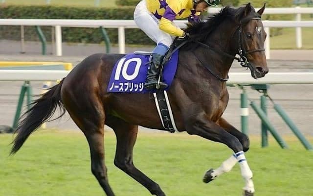 札幌コースを味方につける！ 前走香港で好走の実績馬が札幌記念で重賞3勝目を狙う