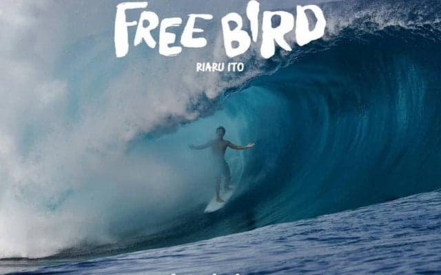 日本が有するトップサーファー伊東李安琉のシグネチャーフィルム【FREE BIRD】上映会アフターレポート
