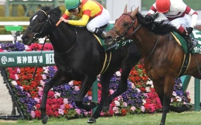 【CBC賞出走馬・騎手確定】アグリ＆西村淳也騎手、スズハローム＆鮫島克駿騎手など18頭