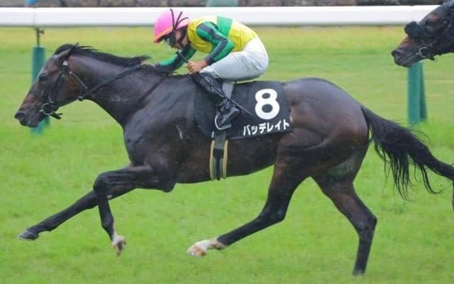 “菊の惑星”に名乗りを上げるか 札幌記念出走トップナイフの半弟が無傷3連勝で秋に弾みをつける