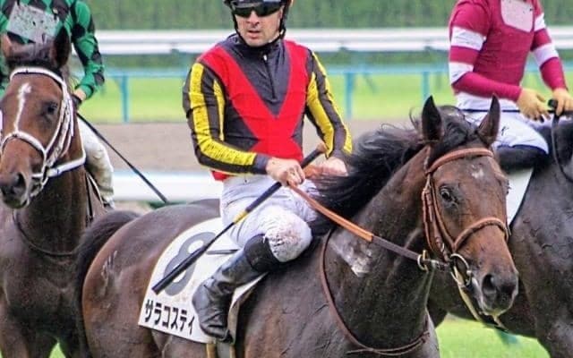 一族にはサリオスなど活躍馬ズラリ デビュー戦2着から確勝を期すサラコスティ