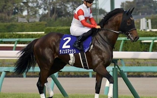 GI・2勝馬の全妹が土曜中京でデビュー ハリウッドメモリーが初白星狙う