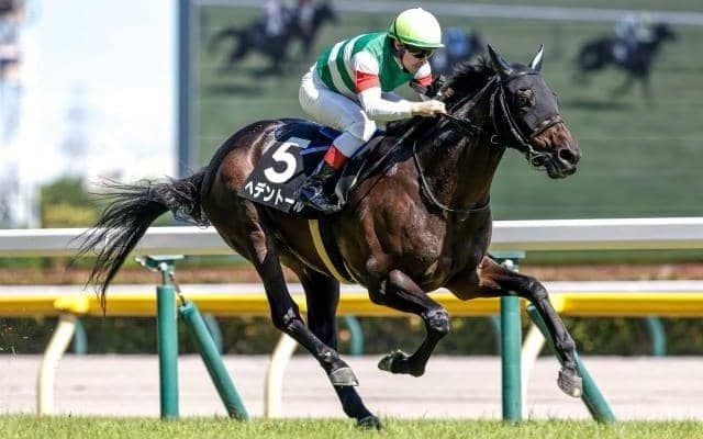 【今日の注目ポイント】中京新馬戦でダノンスマッシュの全妹ハリウッドメモリーがデビュー