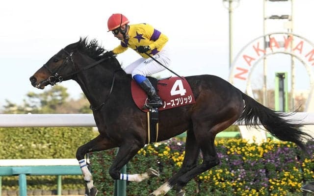 札幌記念は「２強」で決着するのか!?　元ジョッキーが推す「馬場や展開次第で台頭可能な伏兵」とは