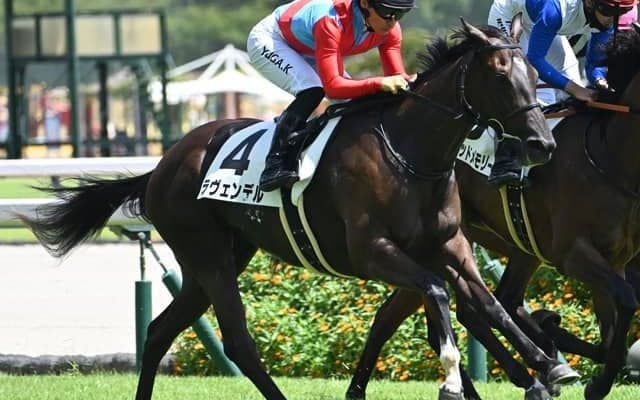 【中京5R新馬戦結果】キンシャサノキセキ産駒ラヴェンデルが初陣飾る