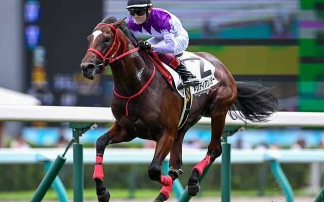 【札幌5R新馬戦結果】モズアスコット産駒メリディアンスターがレコード勝ち