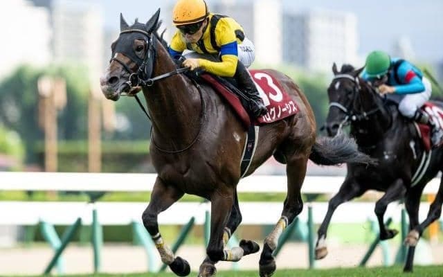 【AI予想・札幌記念】人気上位が順当に結果を残す一戦 本命はGI未勝利もポテンシャル十分な実力馬