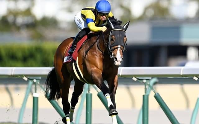 【今日の注目ポイント】札幌で札幌記念と中京でCBC賞の2重賞