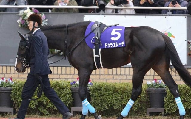 「スーパーＧII」札幌記念は１番人気が不振　穴党記者が大駆けを期待する伏兵２頭とは