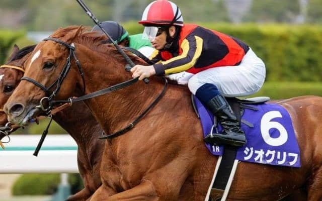 【札幌記念予想】実力馬有利も1番人気は12連敗中 GI戦線に向けはずみを付ける馬は？