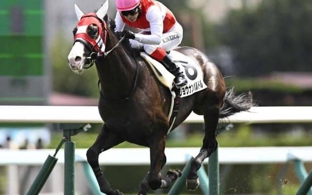 【札幌5R新馬戦結果】3億円ホース・ショウナンバルドルがV ブリックスアンドモルタル産駒