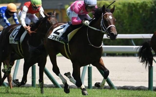 【中京5R新馬戦結果】サトノダイヤモンド産駒ビップデイジーが差し切り勝ち