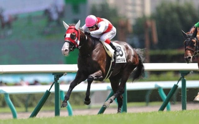 【新馬/札幌5R】3億円ホース！ショウナンバルドルがデビュー勝ち