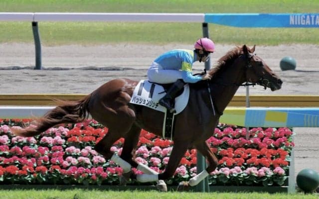 【新馬/新潟5R】5番人気パッションリッチが抜け出す…断然人気プリモシークエンスは3着敗退