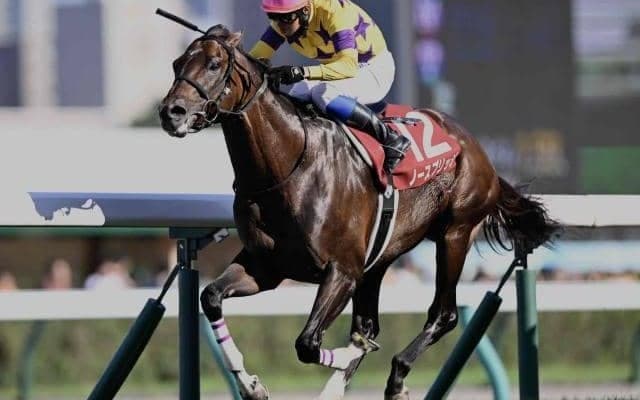 【札幌記念結果】ノースブリッジが押し切り重賞3勝目！