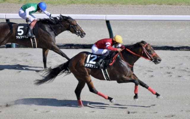 【NST賞】森秀行×藤田晋 メタマックスが鮮やかな差し切りV