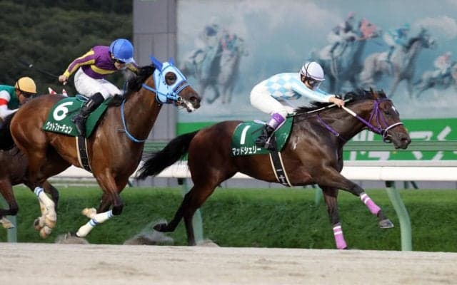 【盛岡・OROターフスプリント】マッドシェリーが逃げ切る…神尾「これからもコツコツと頑張る」