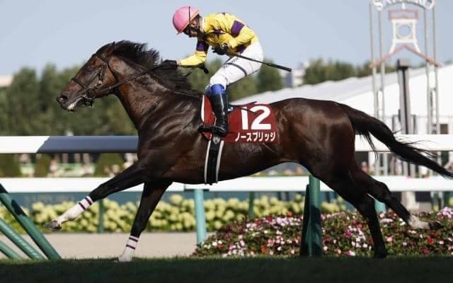 【札幌記念】売上は61億3605万300円で昨年より約35億円減少 ボッケリーニが発走直前に競走除外